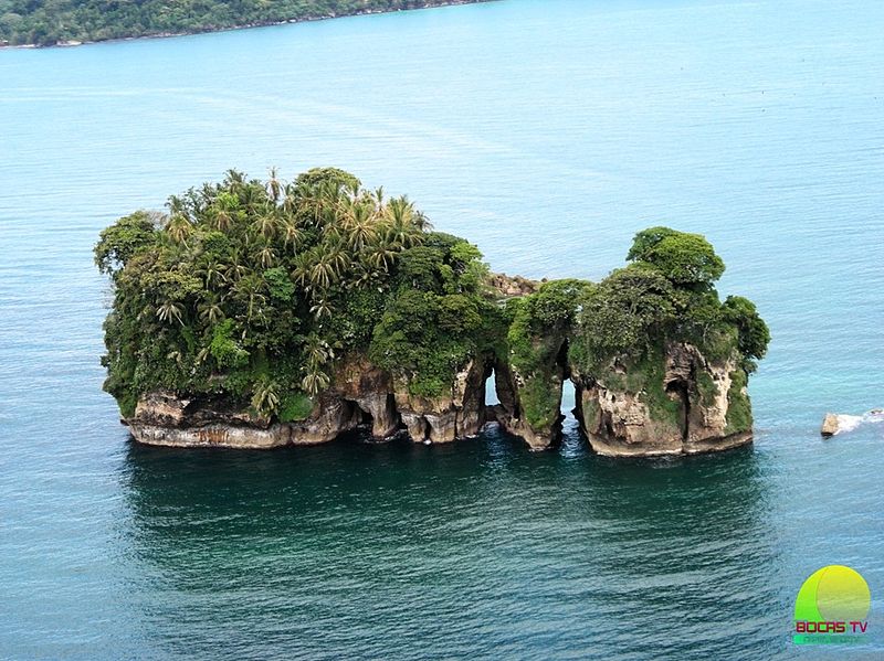 Isla Pájaro (Bocas del Toro)