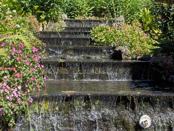 Wassertreppe mit Blumen in Boquete, Panama