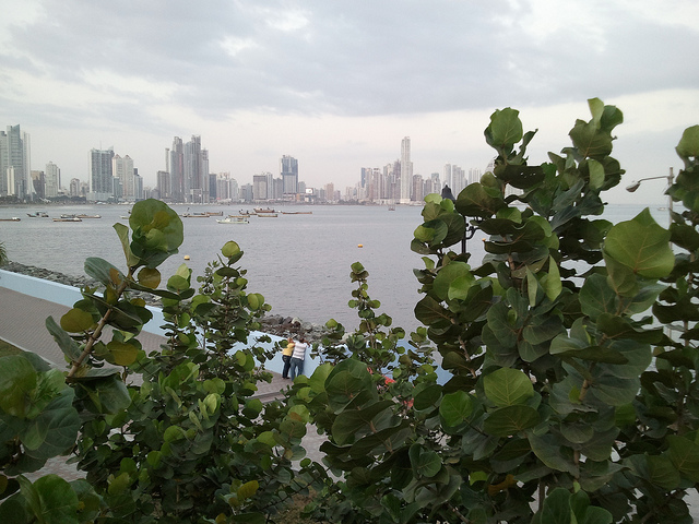 Panama City Skyline